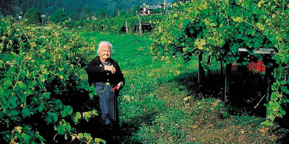 Valle d’Aosta, tutto in una valle