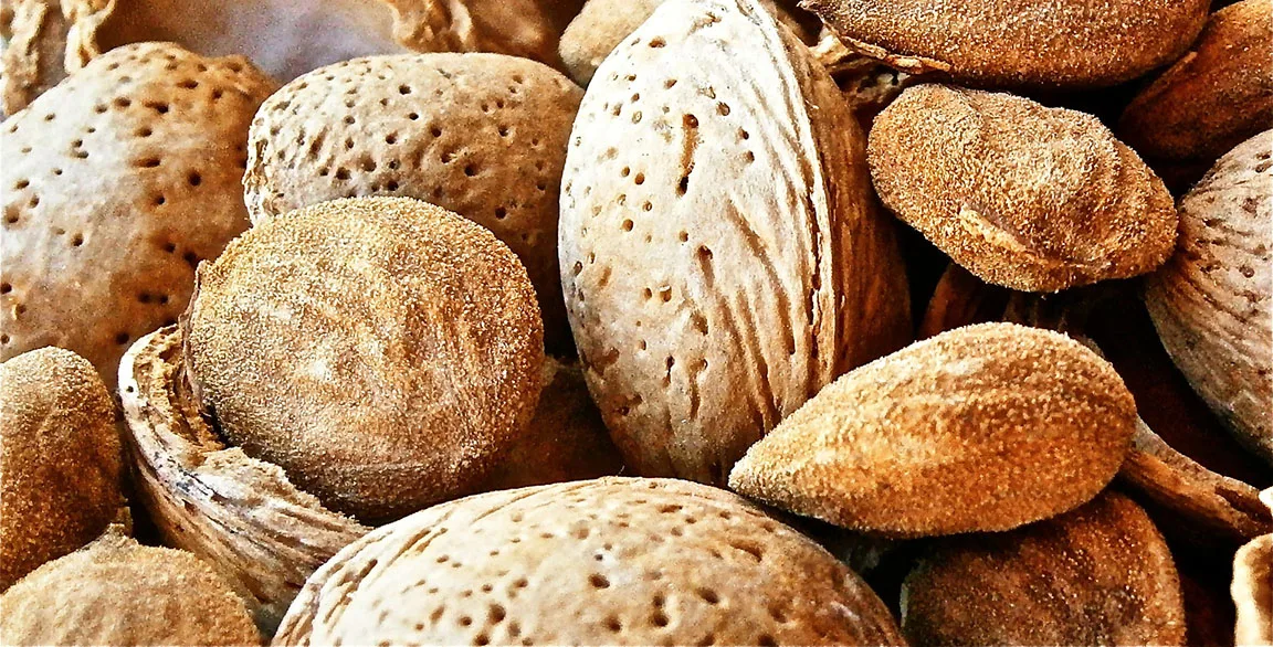 Frutta secca! E non solo