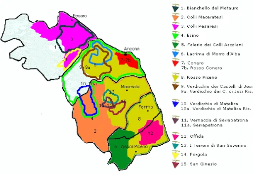 3 MILIONI PER LA PROMOZIONE 2020-2021 DEL VINO DELLE MARCHE
