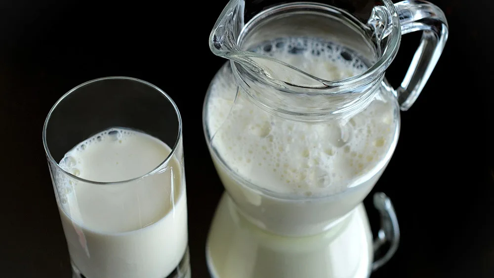 Il latte animale non è “indispensabile”