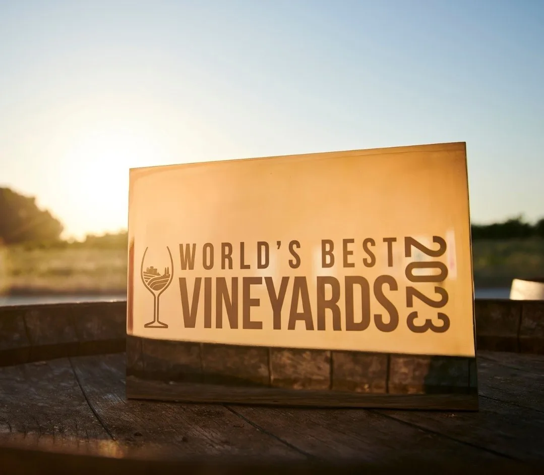 World’s Best Vineyards 2023: le cantine più belle e accoglienti al mondo