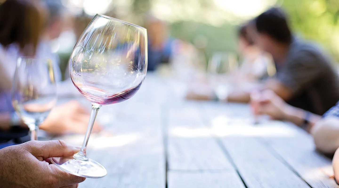 DESCRIVERE IL VINO