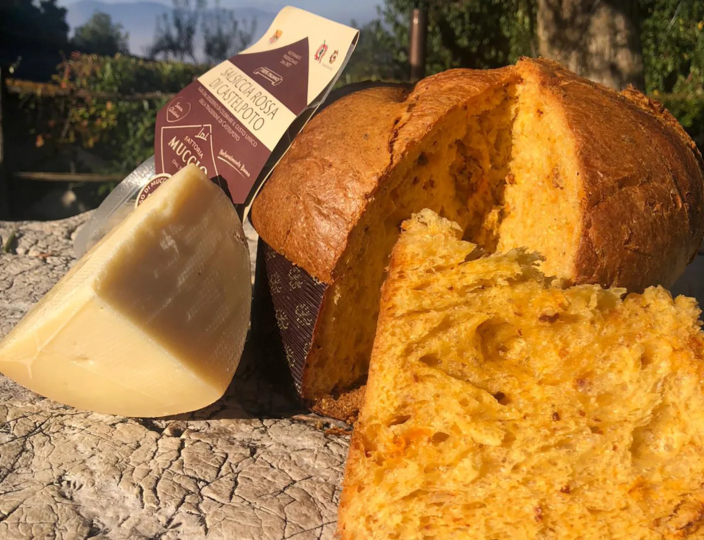 Una Mole di Panettoni Salati, 20 maggio 2021.