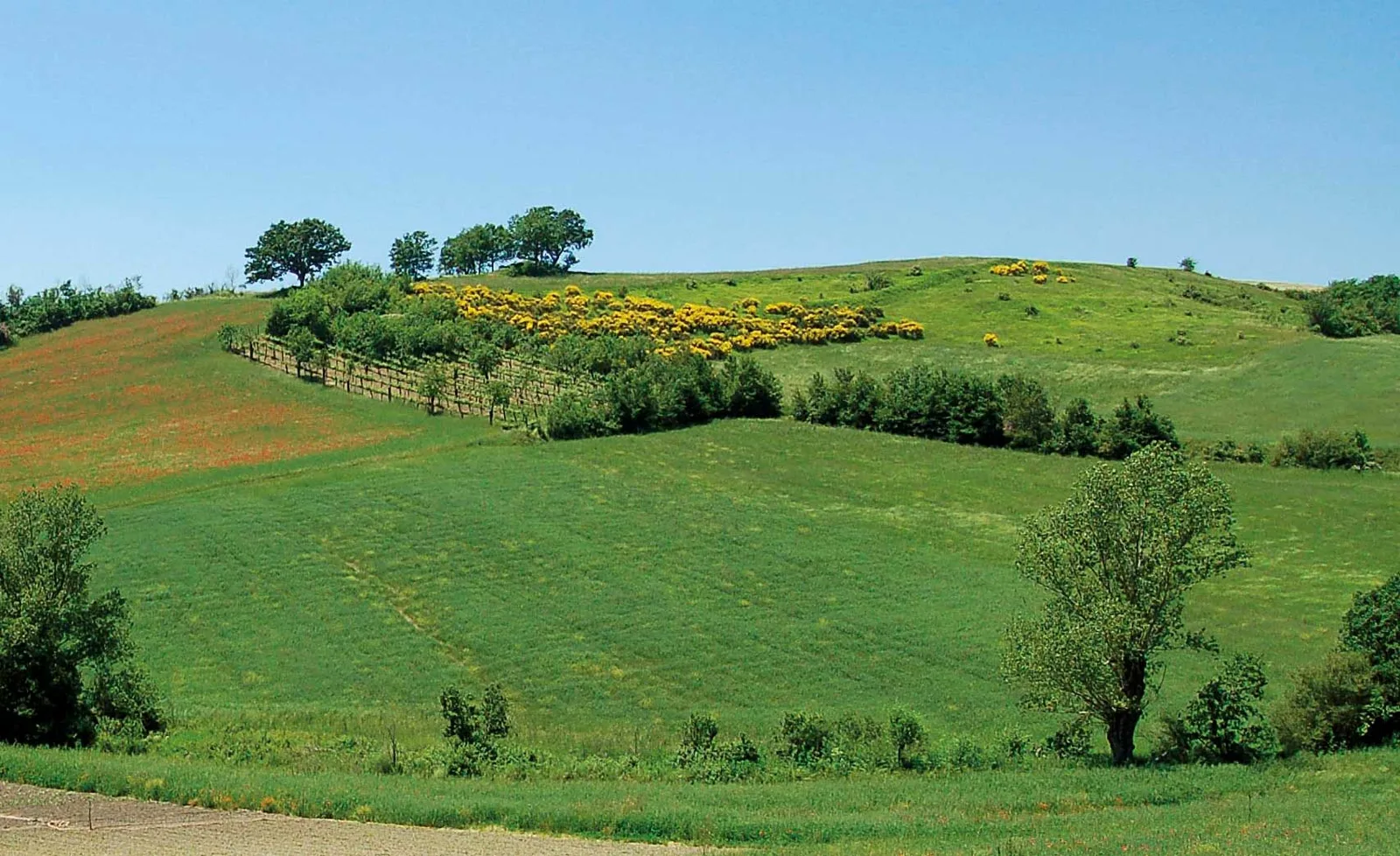 Irpinia: il cuore verde della Campania