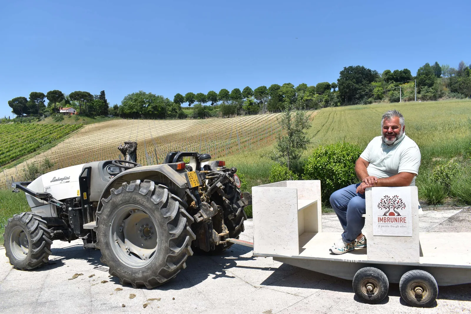 Imbrunire: picnic tra gli ulivi nelle colline del cesenate