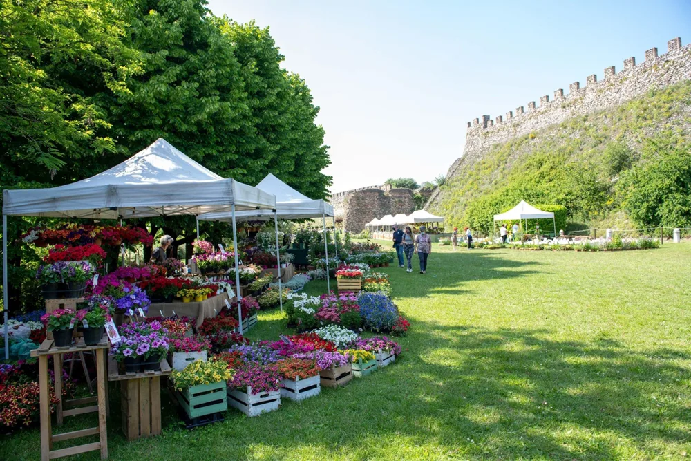 La XIV Edizione di FIORInellaROCCA a Lonato del Garda
