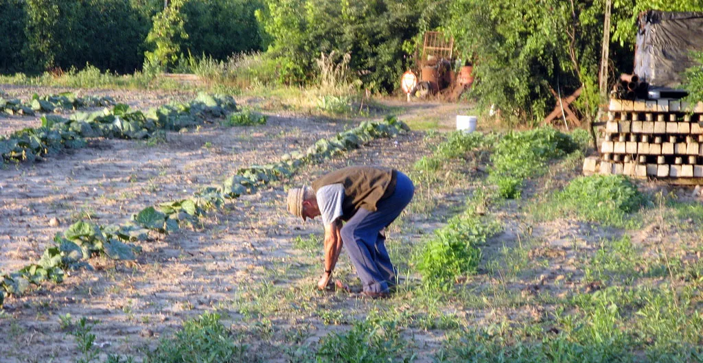 BRACCIA RESTITUITE ALL’AGRICOLTURA