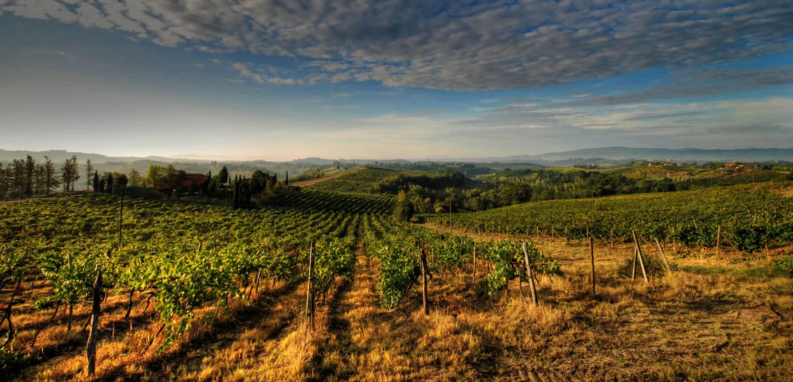 Il Consorzio del Chianti parte per gli Stati Uniti – Dal 23 al 25 ottobre a Chicago e San Francisco