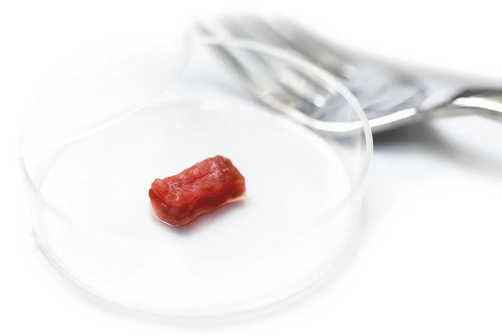 La carne coltivata e le nuove frontiere del cibo