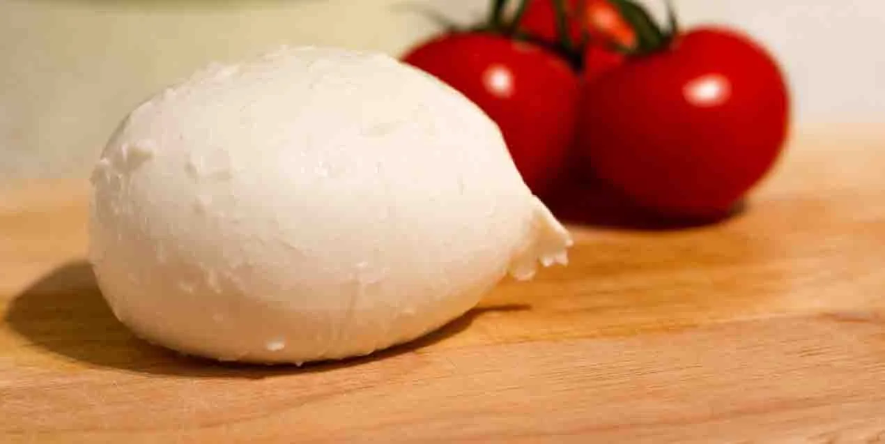 Scoperta falsa mozzarella di bufala a Bruxelles
