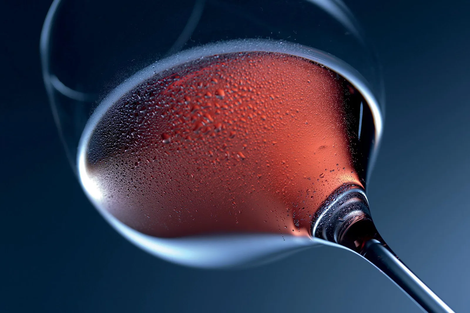 Prologo al servizio del vino