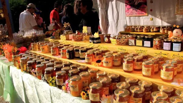 Città del miele: sagre e feste all’insegna della dolcezza da luglio a novembre