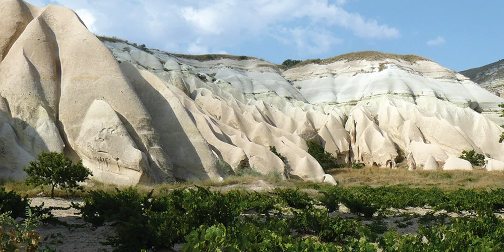 Cappadocia e vino