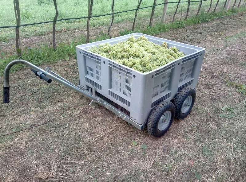 Vino: bolletta salata per la crisi di materie prime e trasporti