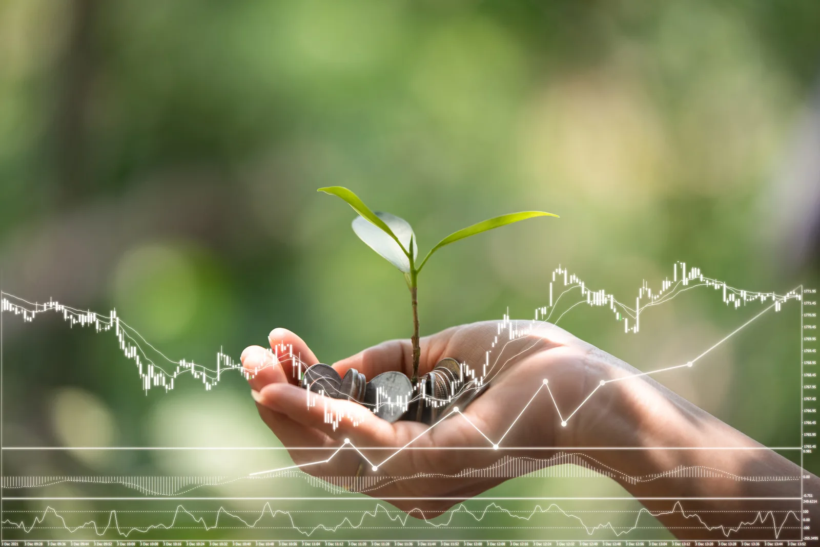 Educazione alimentare e finanziaria