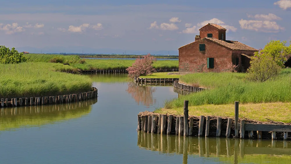 A Comacchio la 18° Sagra dell’anguilla