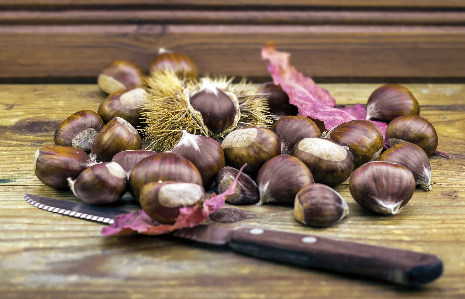 Cambiamento climatico e cibo: l’autunno non è più quello di una volta