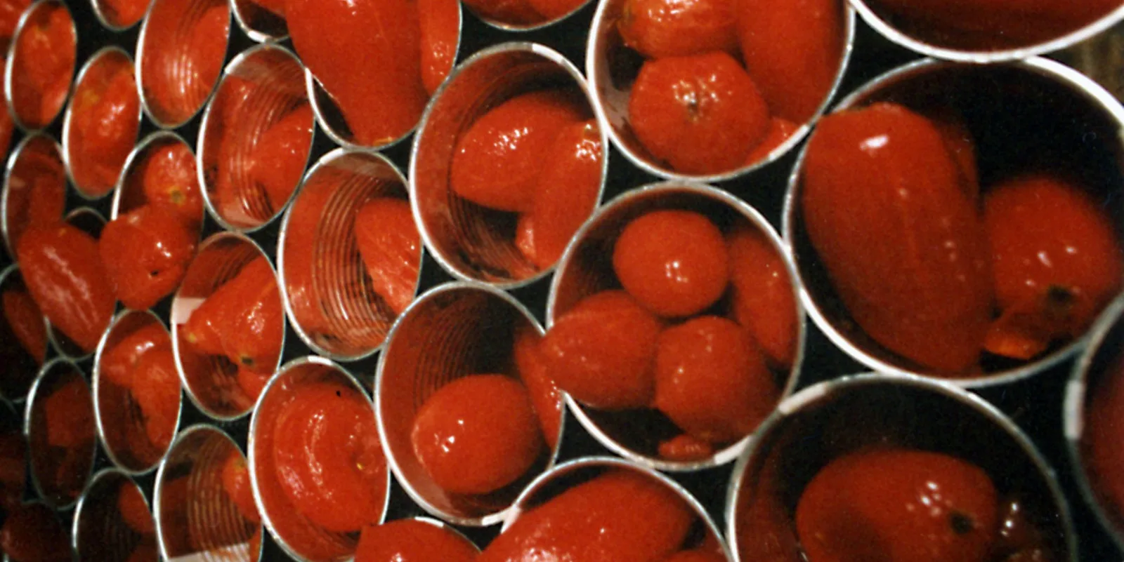 Pomodoro da industria