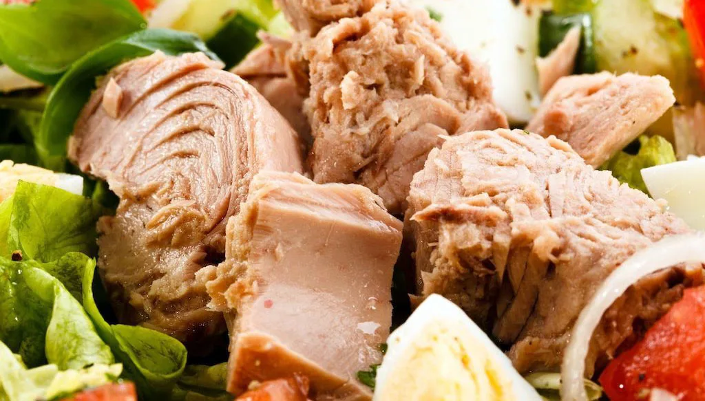 Tonno in scatola amato dagli italiani: nel 2016 i consumi continuano a crescere (+2%)