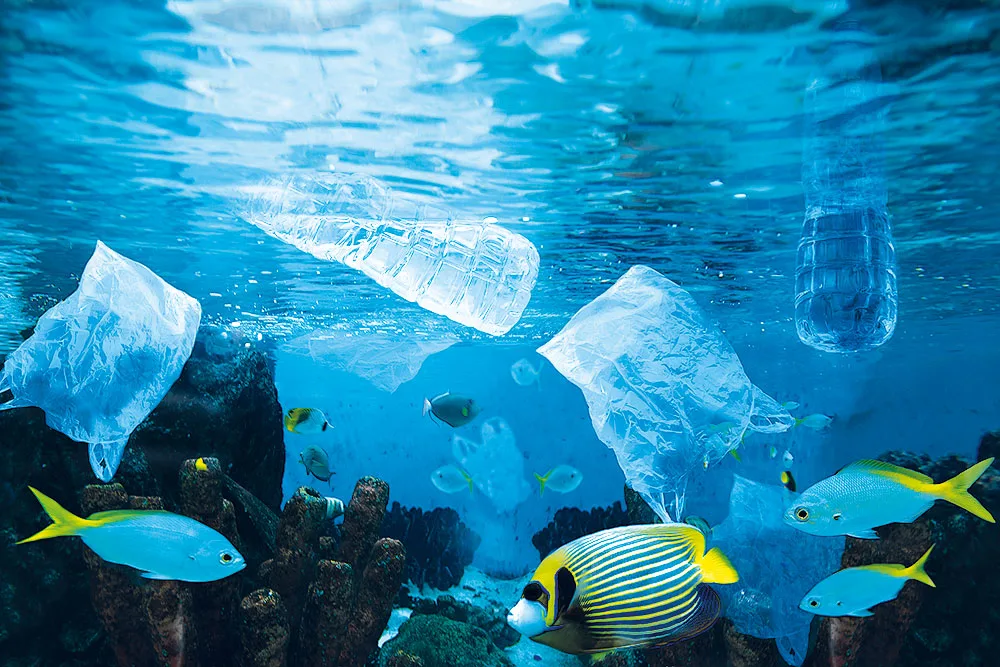 La plastica: dalle stelle alle stalle!