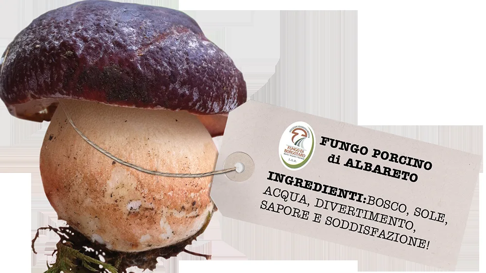 21ª Fiera Nazionale del fungo porcino di Albareto