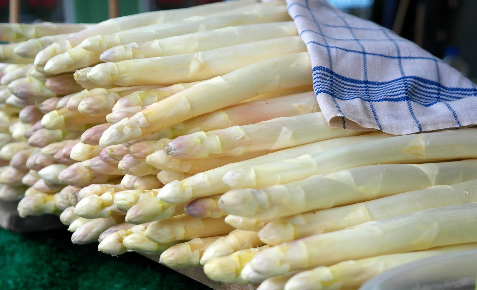 AsparaGORGO: gusto, divertimento, salute