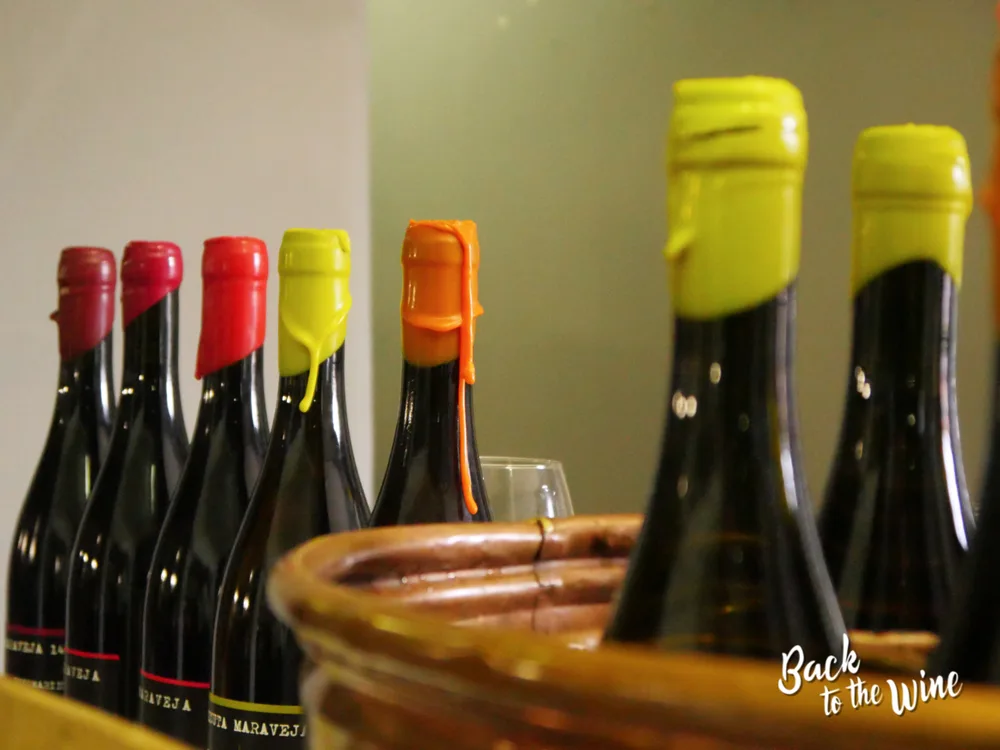 Back To The Wine: il 12-13 novembre 2023 a Venezia