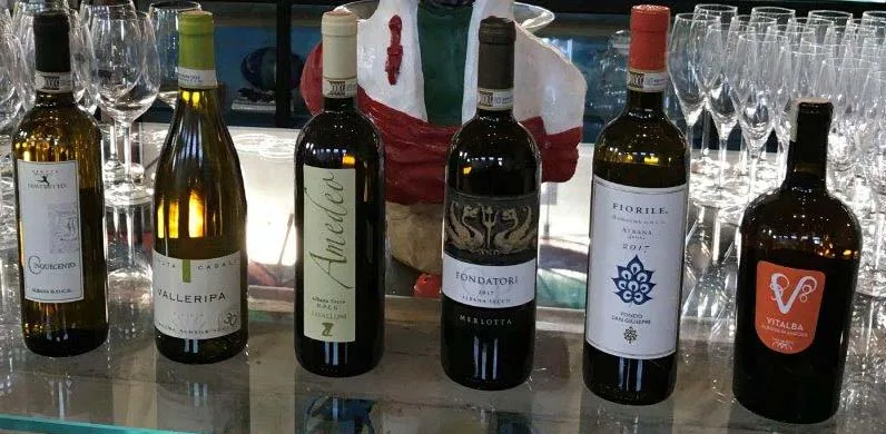 Le migliori Albana della Romagna