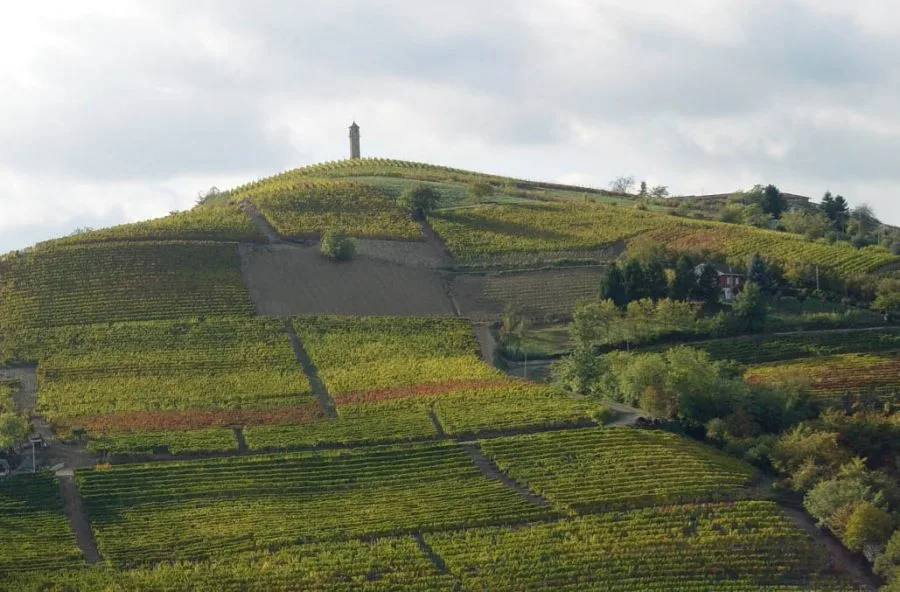 Canelli, città del vino