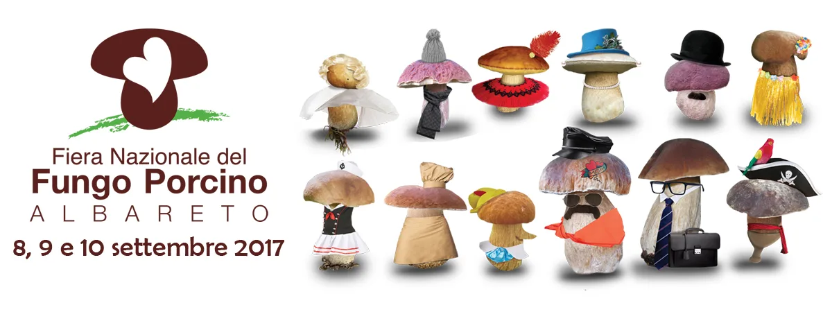 22^ Fiera Nazionale del Fungo Porcino