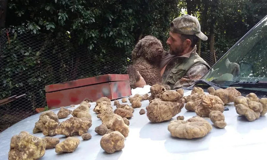 “Il tartufo di diamante” a Mauro Del Greco per la maxi pepita da 2 chili e 10 grammi