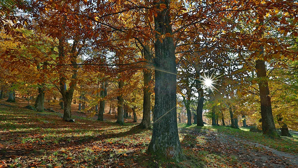 #AmiatAutunno: tra gusto e tradizione in una Toscana tutta da scoprire