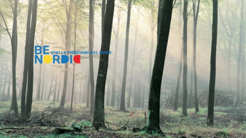 Be Nordic 2016
