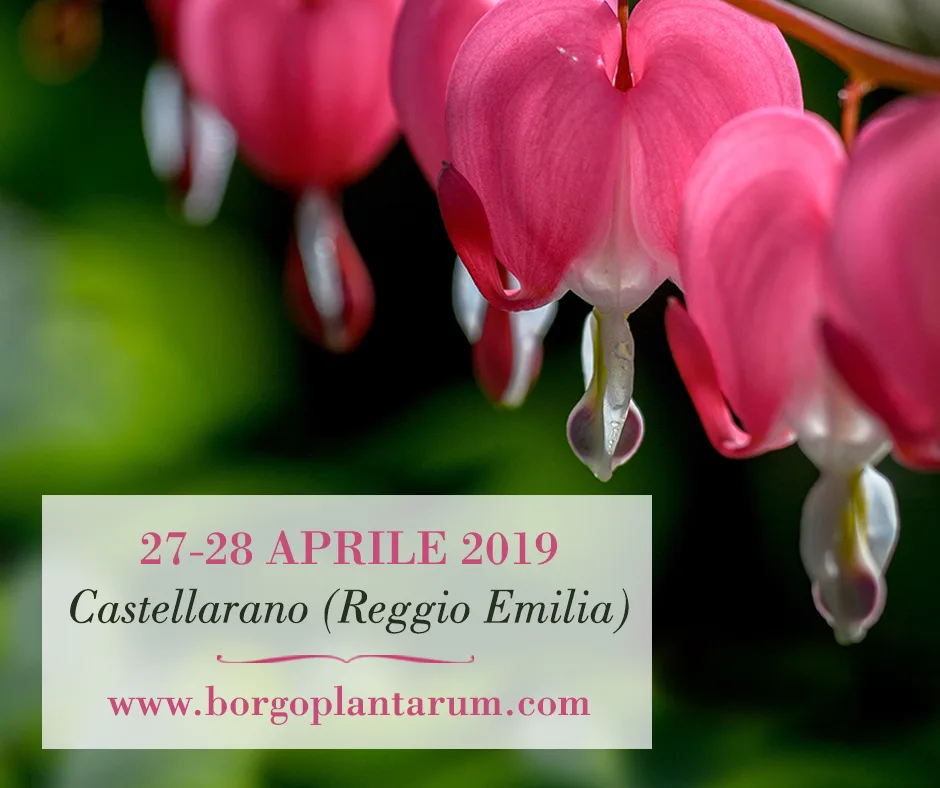 Borgo Plantarum torna a Telarolo di Castellarano