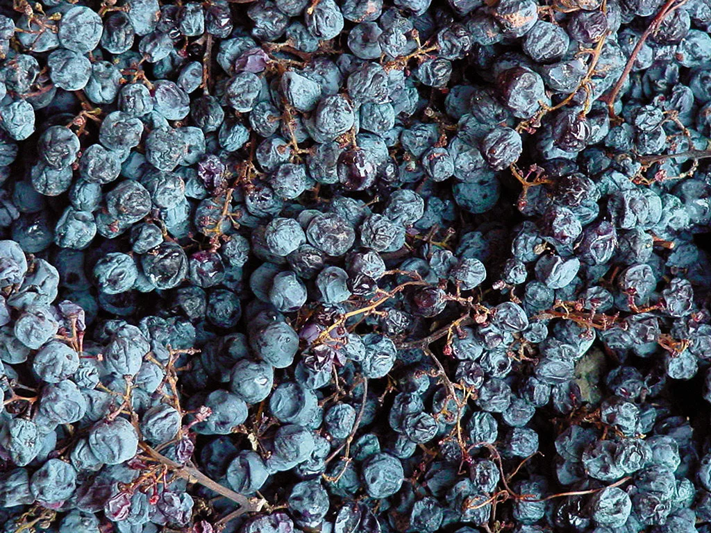 Valpolicella, una ricchezza in esaurimento