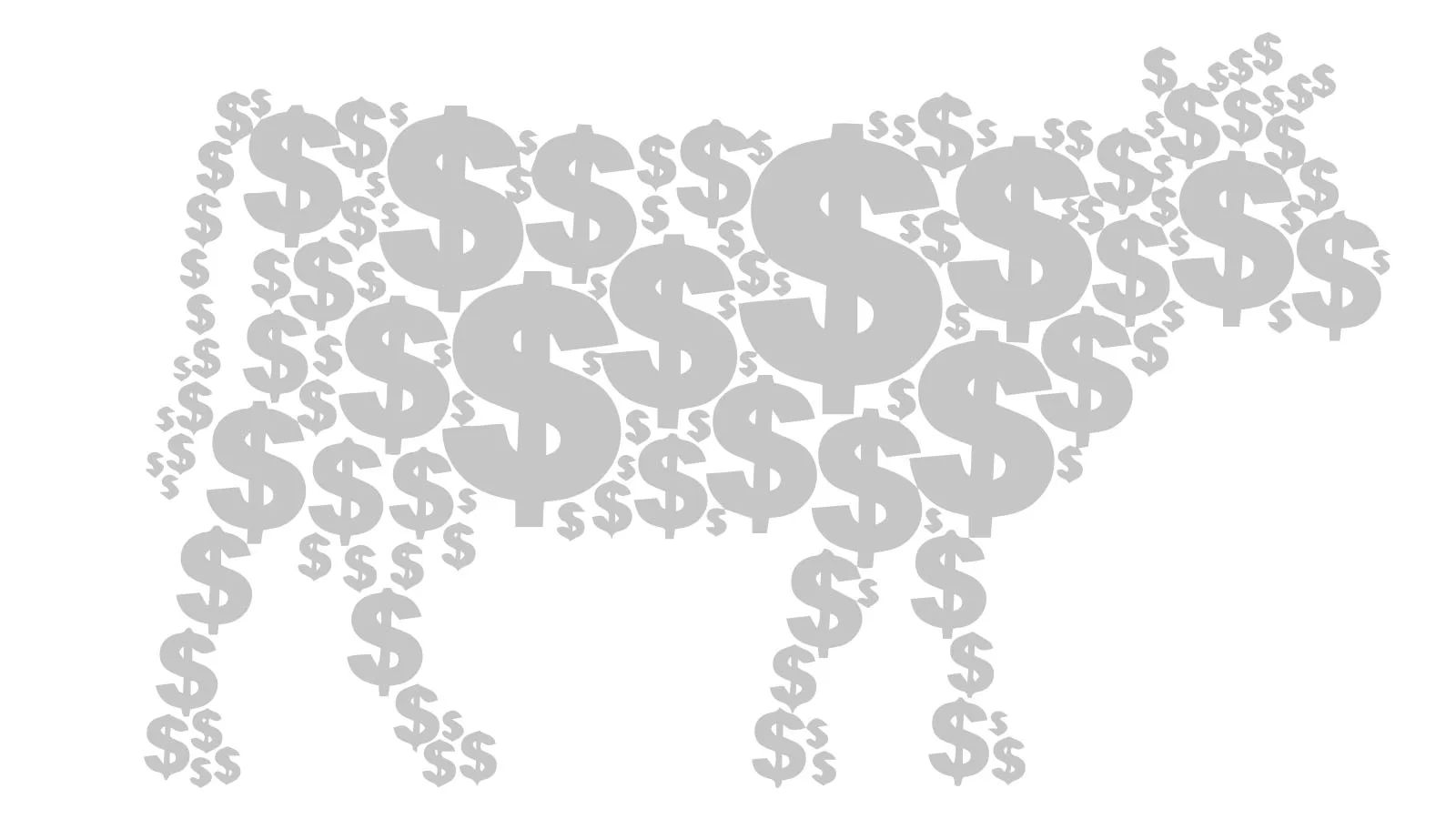 RISCALDAMENTO GLOBALE: 2019, L’ANNO DELLA SVOLTA