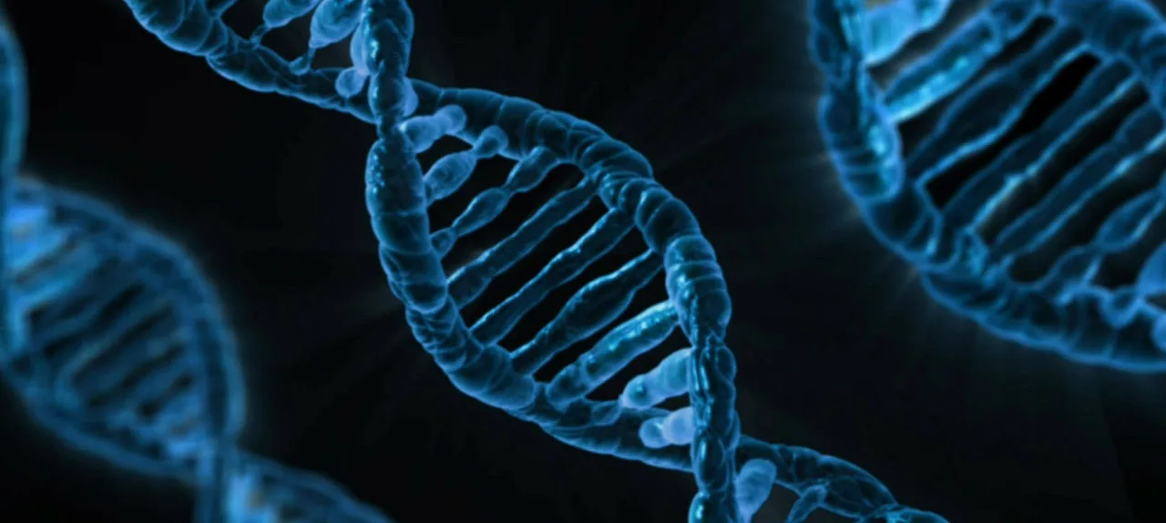 Intolleranze alimentari e DNA