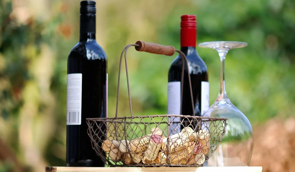 Vino Crudo: il Festival mercato del vino biologico e biodinamico di Modena