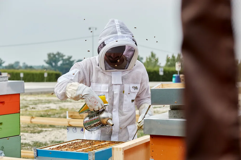 Surgital e Beeway: insieme per la biodiversità