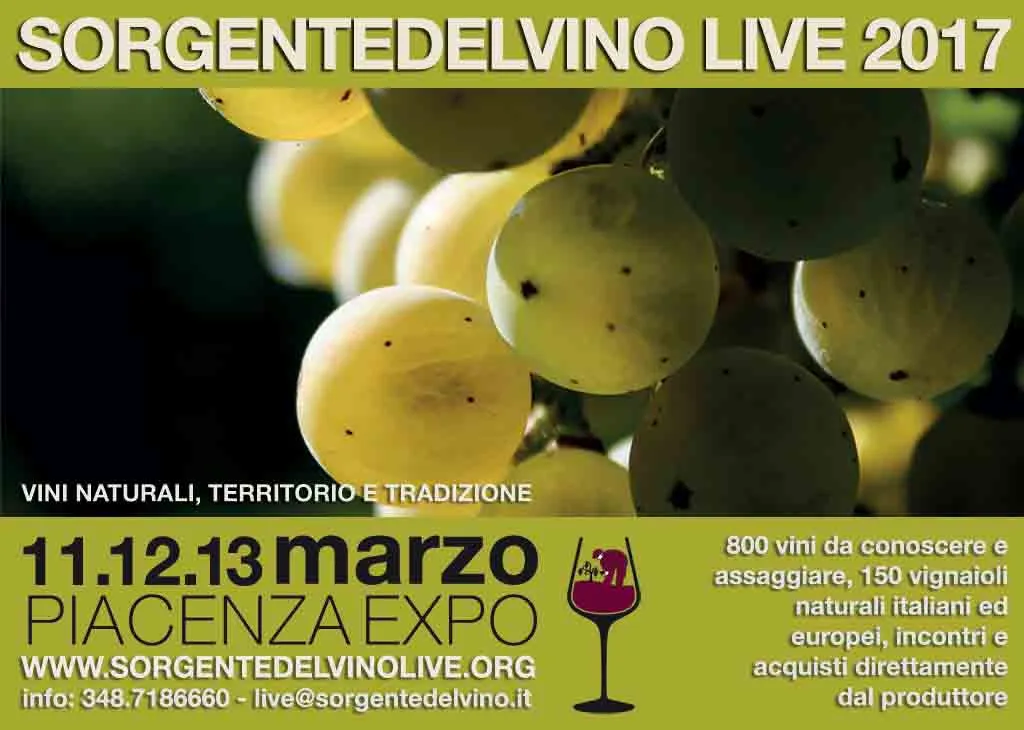 Sorgentedelvino LIVE