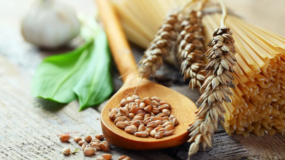 Grano: AIDEPI, senza grano estero a rischio qualità pasta italiana