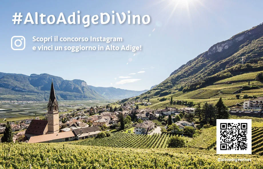 #altoadigedivino: continua il contest dei vini altoatesini su Instagram