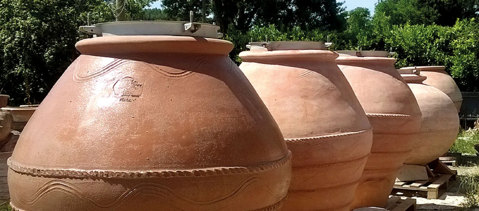 Tenuta Agricola Arrighi