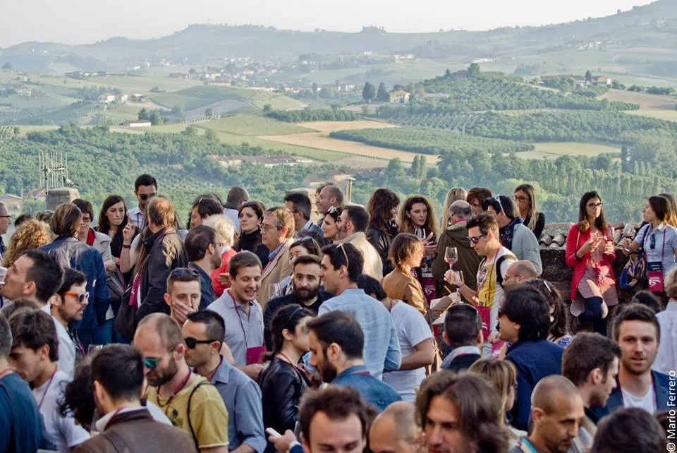 Barolo 2019, Re dei Vini