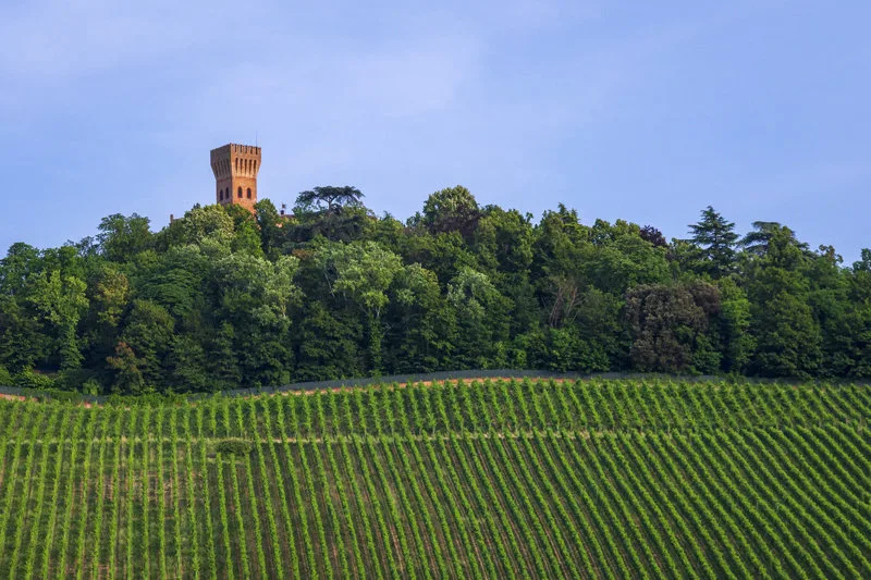 La degustazione: i grandi Pas Dosé d'Italia