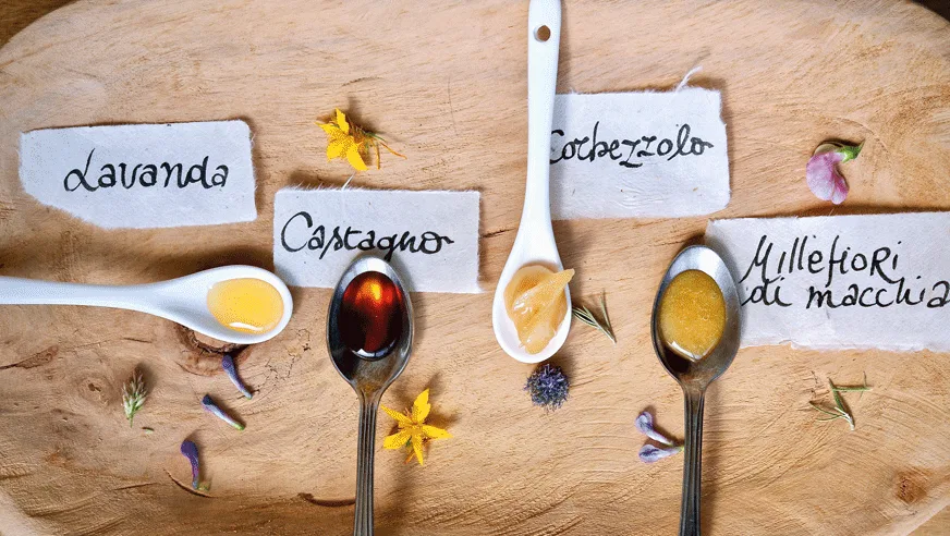 Sardegna: il miele tra tradizione e alta cucina