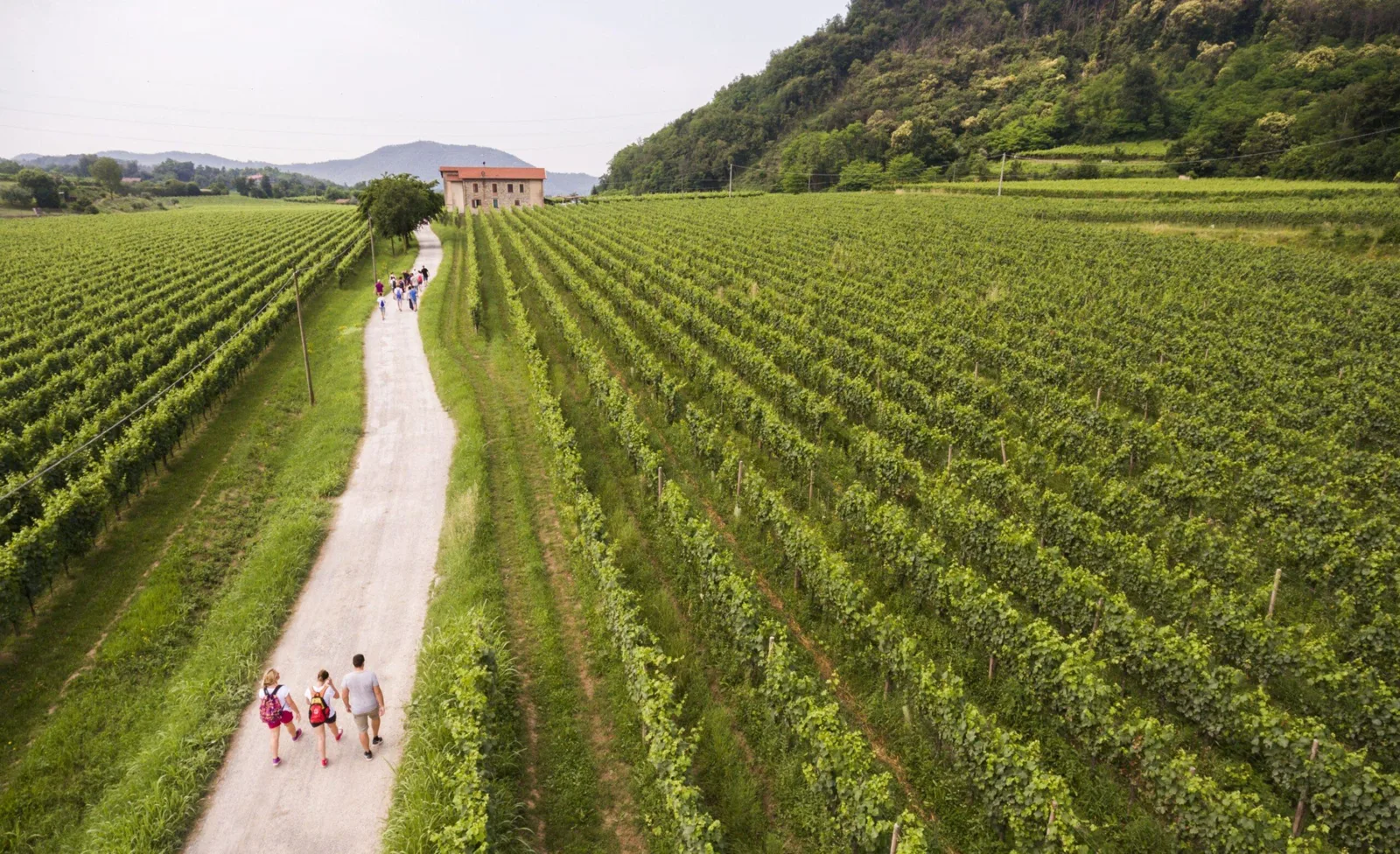 Franciacorta in primavera