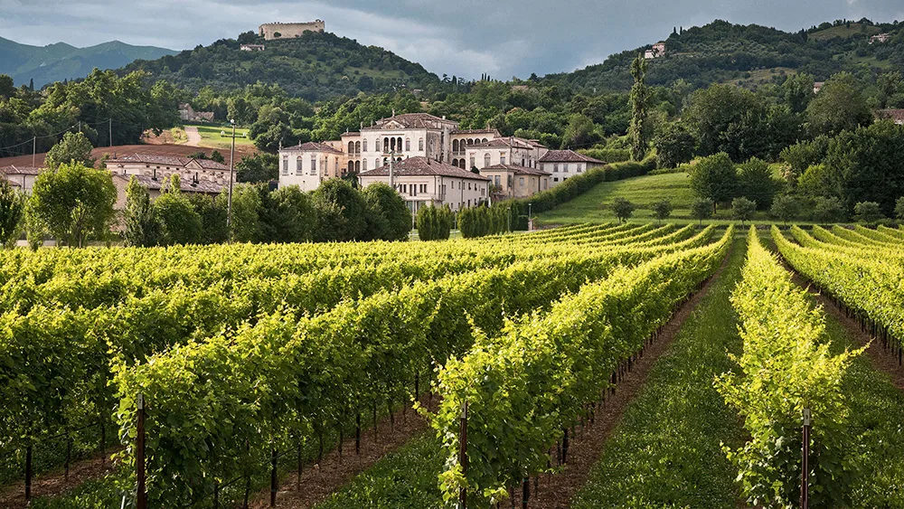 Calici di Stelle: bollicine, musica e buon cibo tra le vie di Asolo
