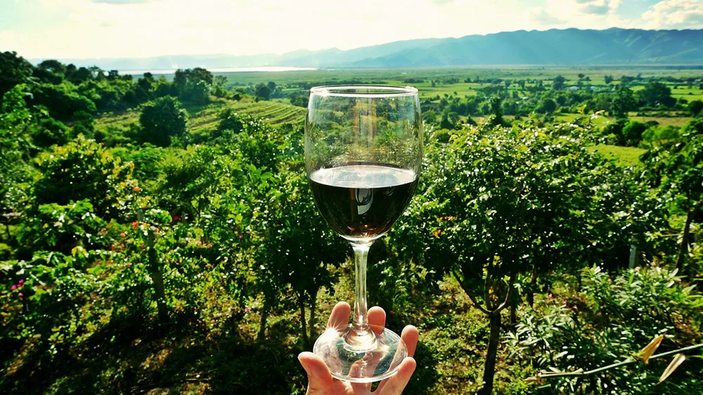 Vini: al via a Novara Taste Alto Piemonte 2018