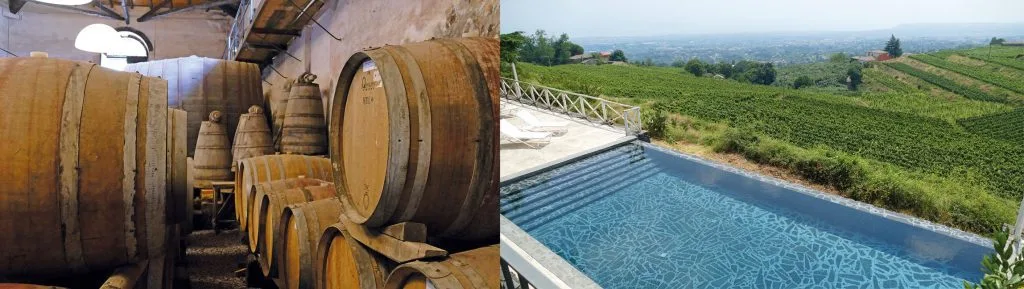 Vini dell’Etna